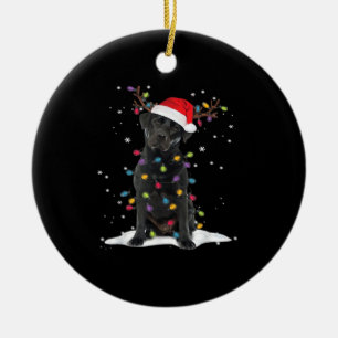 Zwarte Labrado Xmas-hond Kerstboom Licht Klasse Keramisch Ornament