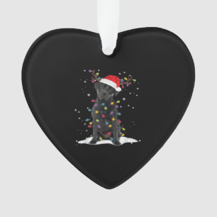 Zwarte Labrado Xmas-hond Kerstboom Licht Klasse Ornament