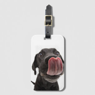 Zwarte labrador die zijn neus slaat bagagelabel