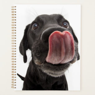 Zwarte labrador die zijn neus slaat planner