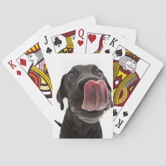 Zwarte labrador die zijn neus slaat pokerkaarten (Achterkant)