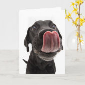 Zwarte labrador die zijn neus steekt kaart (Gele Bloem)