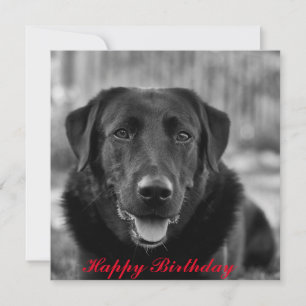 Zwarte Labrador foto huisdier hond Kaart