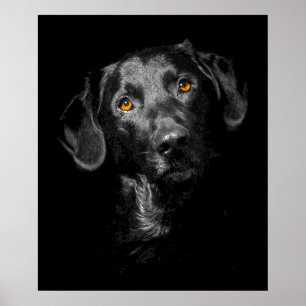 Zwarte Labrador Hond Poster Canvas Inspiratie