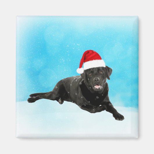 Zwarte Labrador Hond Zittend in Sneeuw Kerstmis Magneet (Voorkant)