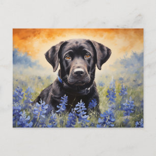 Zwarte Labrador in Bluebonnets Briefkaart