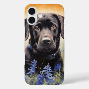 Zwarte Labrador in Bluebonnets iPhone 16 Plus Hoesje
