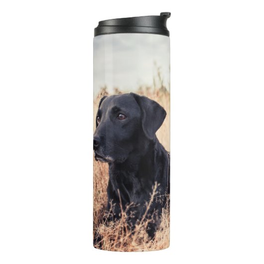 Zwarte labrador in droog gras thermosbeker (Gedraaid links)
