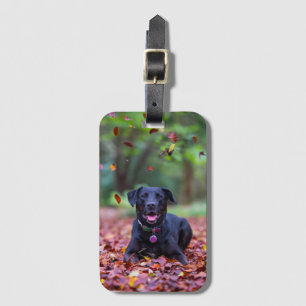 Zwarte labrador in valleien bagagelabel