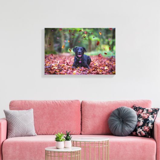 Zwarte labrador in valleien canvas afdruk (Insitu (Woonkamer))