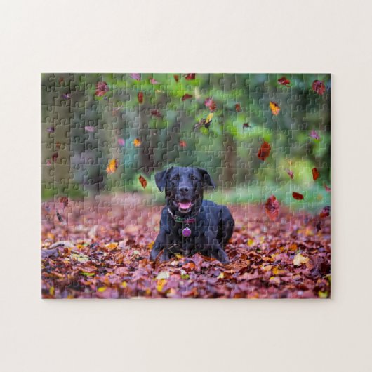 Zwarte labrador in valleien legpuzzel (Horizontaal)