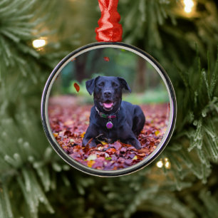 Zwarte labrador in valleien metalen ornament