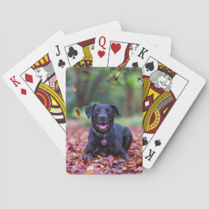 Zwarte labrador in valleien pokerkaarten