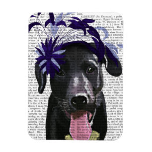 Zwarte labrador met blauwe fascinator magneet