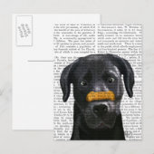 Zwarte labrador met bot op neus briefkaart (Voorkant / Achterkant)