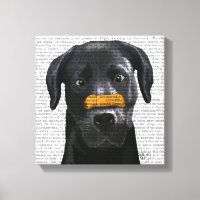 Zwarte labrador met bot op neus