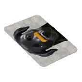 Zwarte labrador met bot op nose 2 magneet (Rechterzijde)