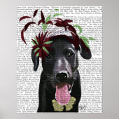 Zwarte labrador met groene fascinator poster (Voorkant)