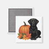 Zwarte labrador met herfstbladeren en pompoen magneet (Voorkant / Achterkant)