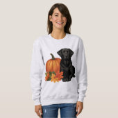 Zwarte labrador met herfstbladeren en pompoen trui (Voorkant volledig)