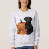 Zwarte labrador met herfstbladeren en pompoen trui (Voorkant)