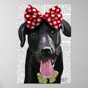 Zwarte labrador met rode bol aan kop poster