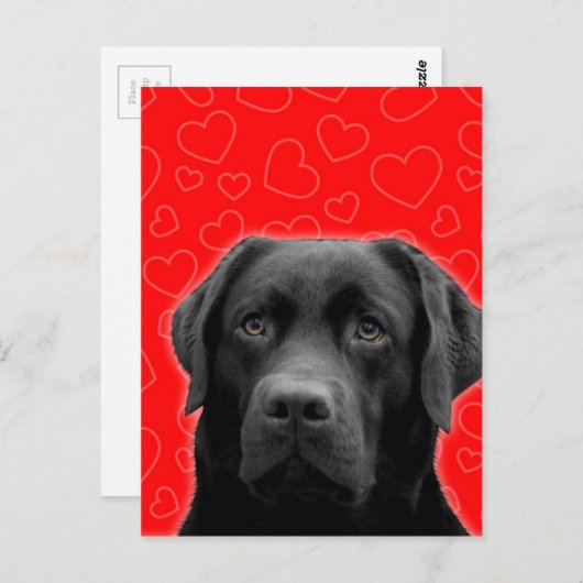 Zwarte labrador met rode harten briefkaart (Voorkant / Achterkant)