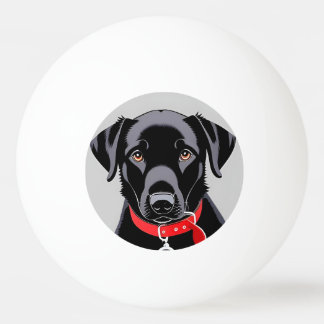 Zwarte labrador met rode kraag pingpongballen