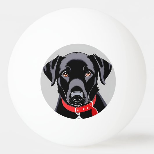 Zwarte labrador met rode kraag pingpongballen (Voorkant)