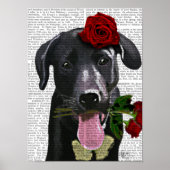 Zwarte labrador met Rozen Poster (Voorkant)