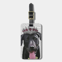 Zwarte labrador met Tiara