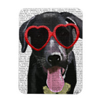 Zwarte labrador met zonnebrillen voor het hart
