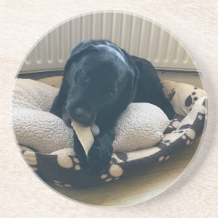 Zwarte labrador-Onderzetter Zandsteen Onderzetter