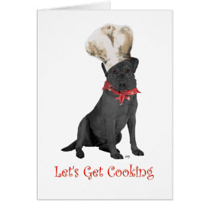 Zwarte Labrador Retriever Chef