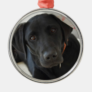  zwarte labrador Retriever Metalen Ornament