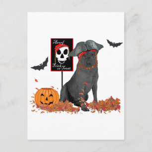 Zwarte Labrador Retriever Piraat Briefkaart
