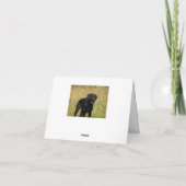 Zwarte Labrador Retriever Puppy Dog Blank Note Kaa Kaart (Achterkant)