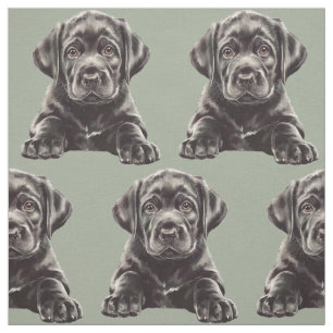 Zwarte Labrador Retriever Stof