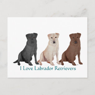 Zwarte Labrador Retriever Zeiler Poster - Op Maat Briefkaart