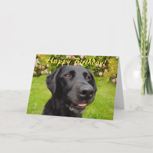 Zwarte labrador verjaardagskaart kaart