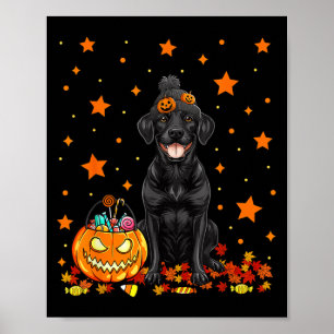 Zwarte Labradorhond en pompoensnoep grappig Poster
