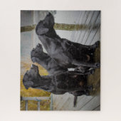 Zwarte labs op een dok legpuzzel (Verticaal)