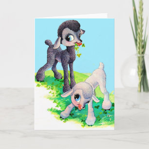 zwarte lam witte lam kaart