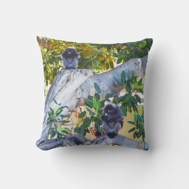 Zwarte Langur-apen eten, Drow Cushion Kussen (Voorkant)