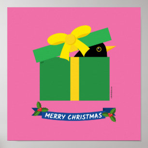 Zwarte Lijster Die Uit Een Cadeaudoos Kijkt Poster