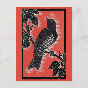 Zwarte lijster met rood briefkaart
