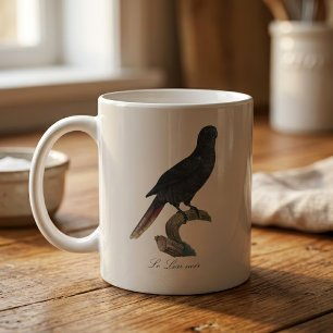 Zwarte Lory of Zwarte Lori, Chalcopsitta atra Koffiemok