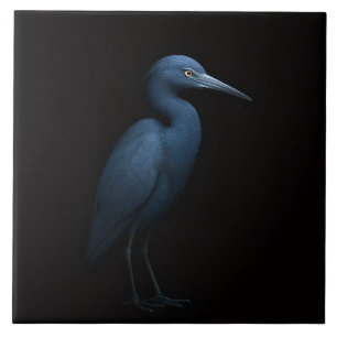 Zwarte Luxe-tegel met Kleine Blauwe Reiger Tegeltje