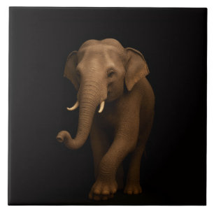 Zwarte Luxe tegel met zachte Indische olifant Tegeltje