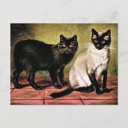 Zwarte Mank en Royal Siamese Cat Briefkaart (Voorkant)